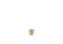Little Bird 3cm Oak