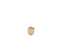 Little Bird 4.5cm Oak