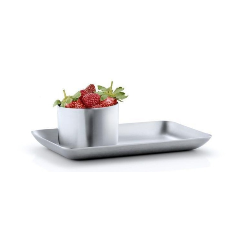 Tray Basic 13 x 22 cm