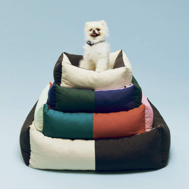 Dogs Bed, Large Black/White