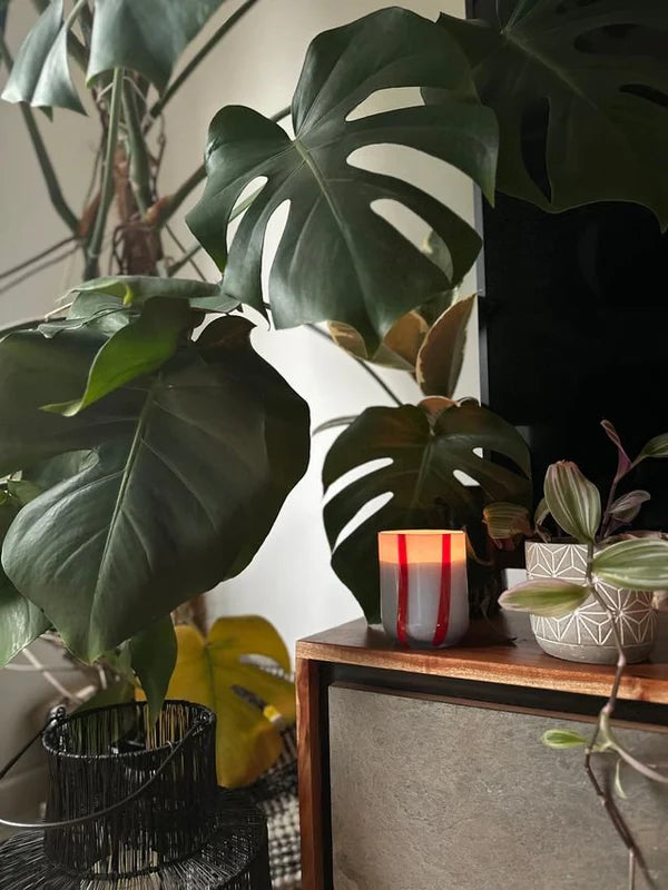 Atina Candle, Tomato + Mint