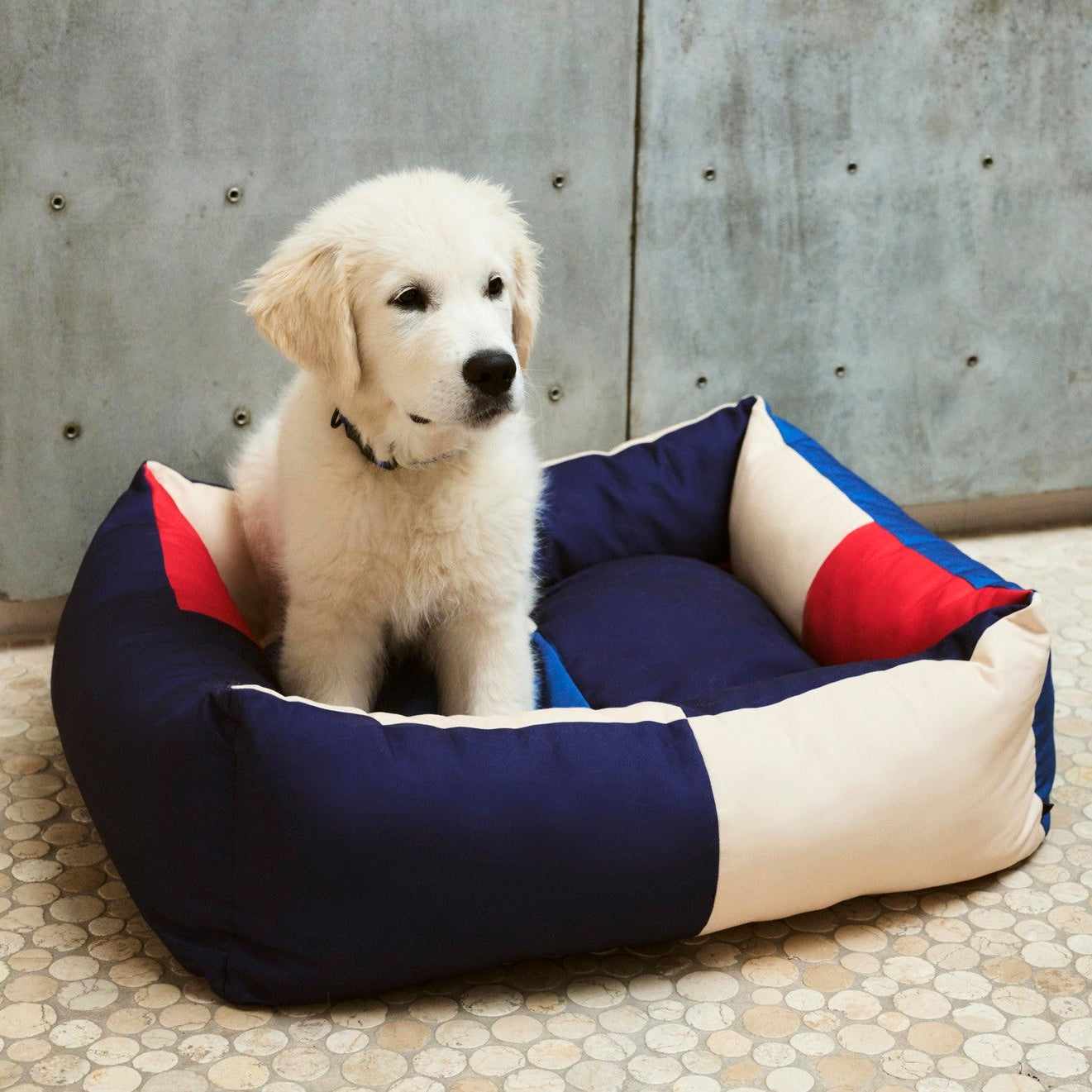 Dogs Bed, Medium Red/Blue