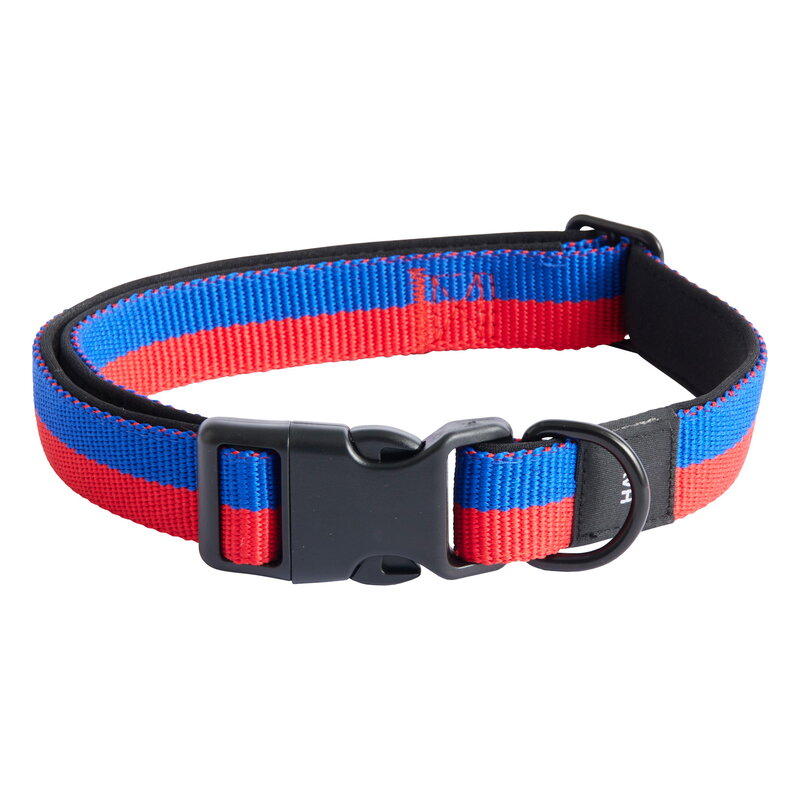 Dog Collar Flat, Red/Blue, M/L