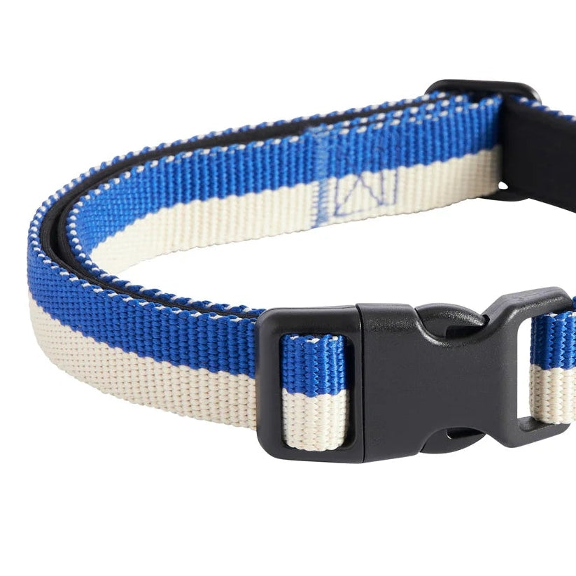 Dog Collar Flat, Blue/Off White, M/L
