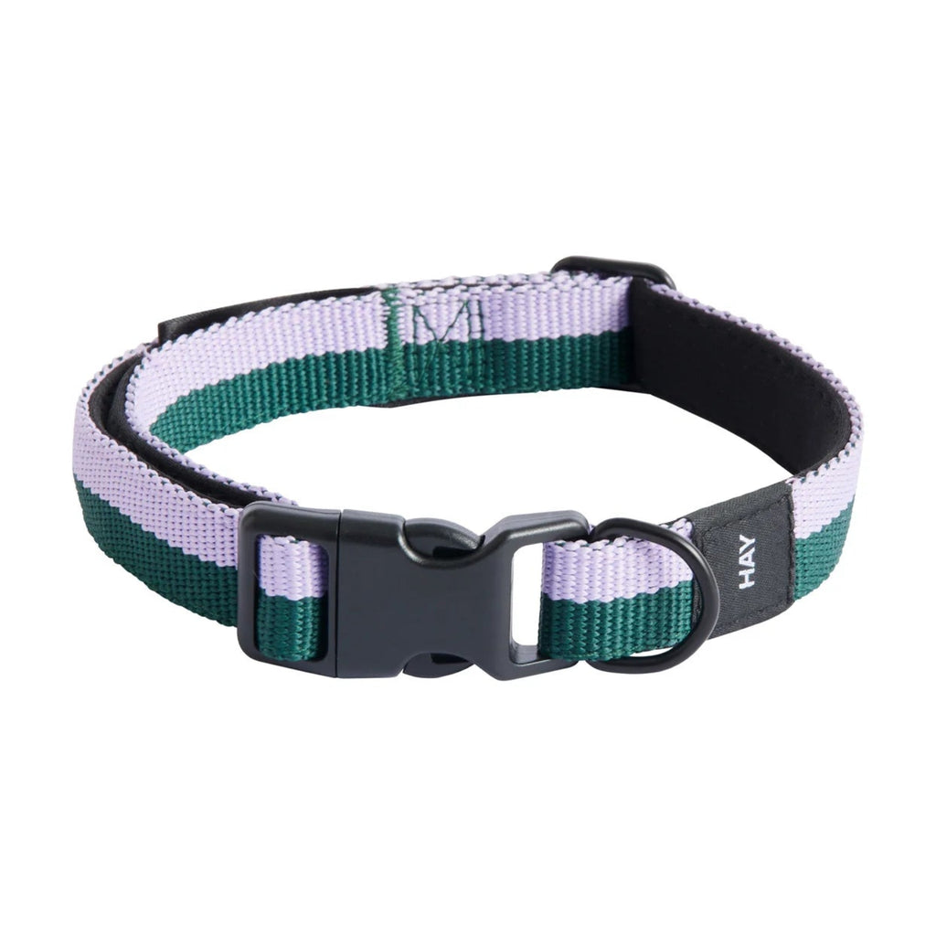 Dog Collar Flat, Lavender/Green, M/L