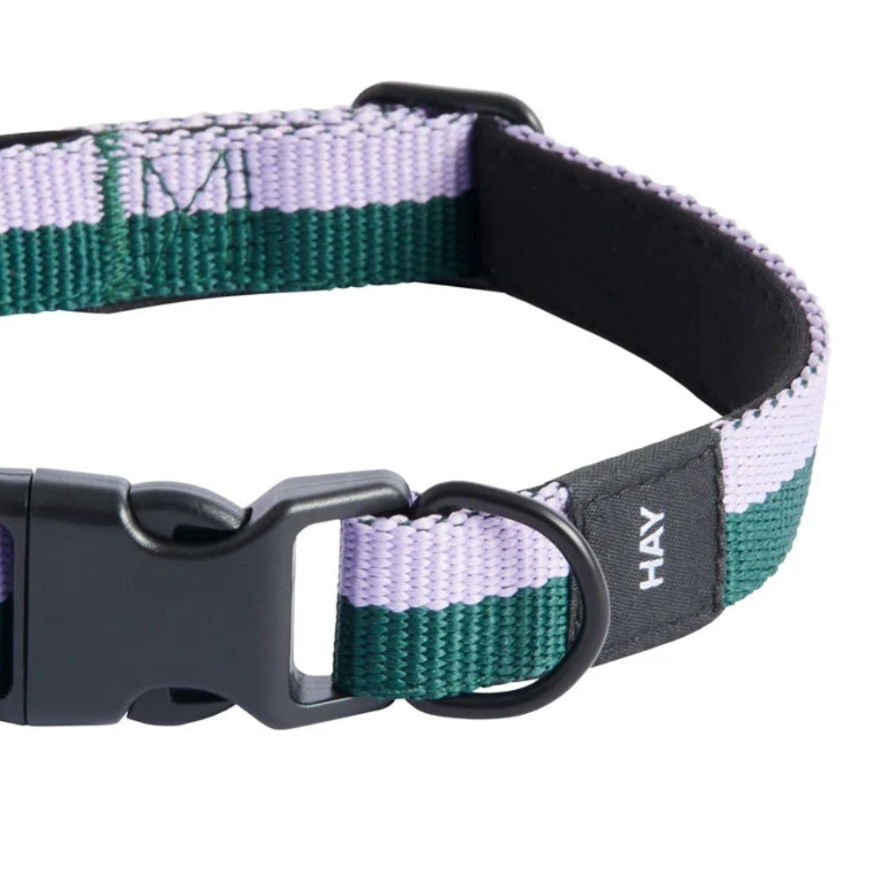 Dog Collar Flat, Lavender/Green, M/L