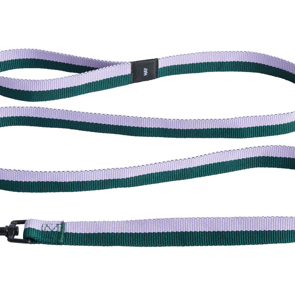 Dog Leash Flat, Lavender/Green, M/L