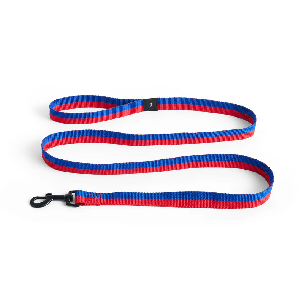 Dog Leash Braided, Red/Blue, M/L