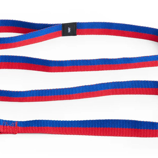 Dog Leash Braided, Red/Blue, M/L