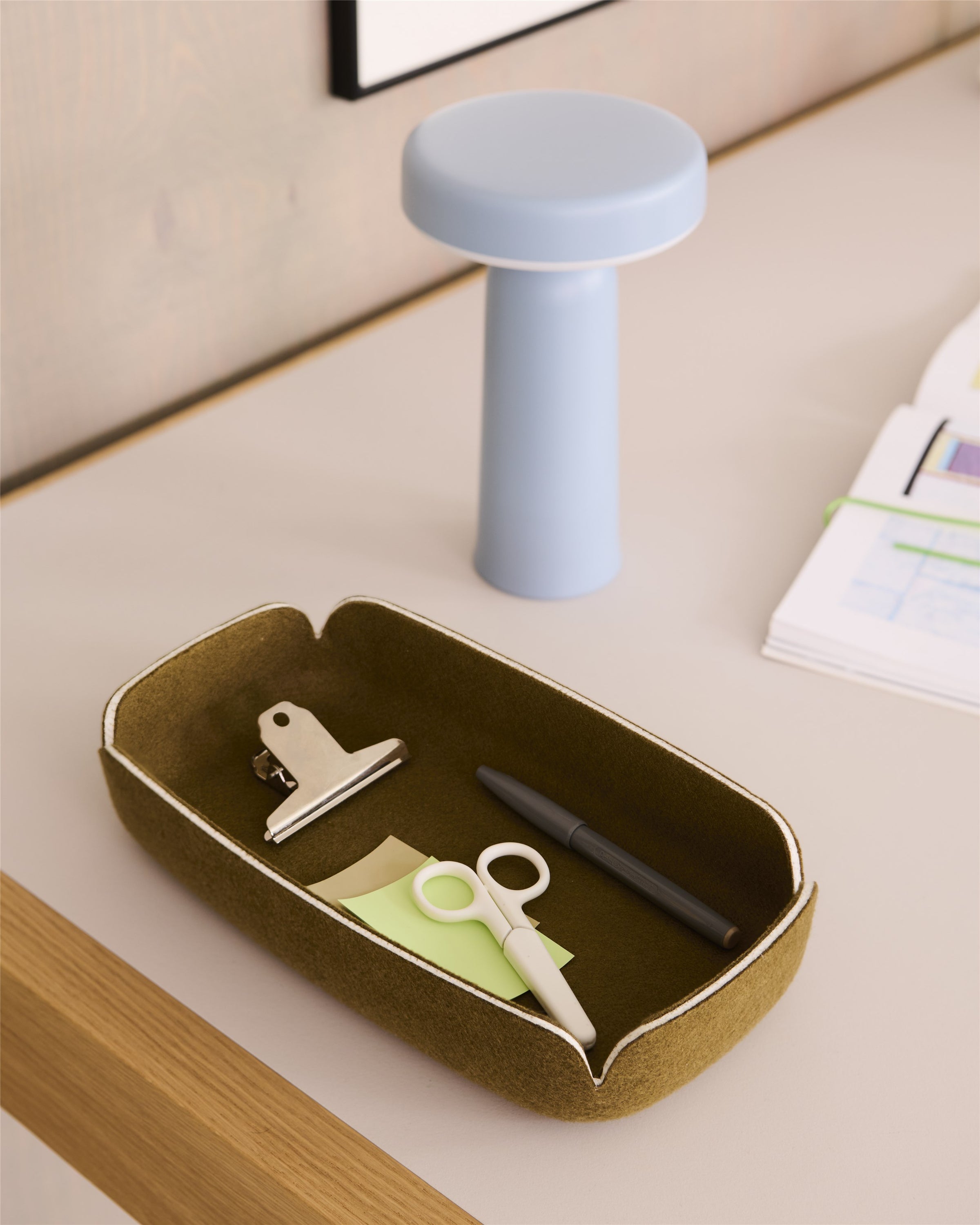Restore Felt Tray, Small, Dusty green