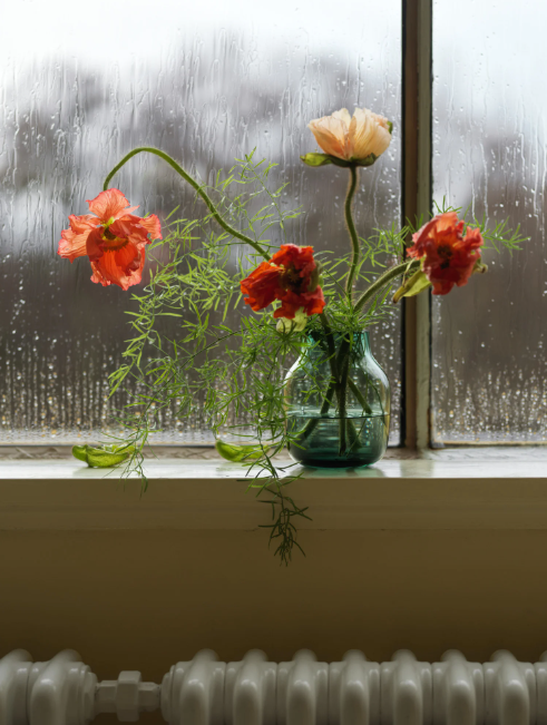 Silent Vase, Burnt Orange 5.9"