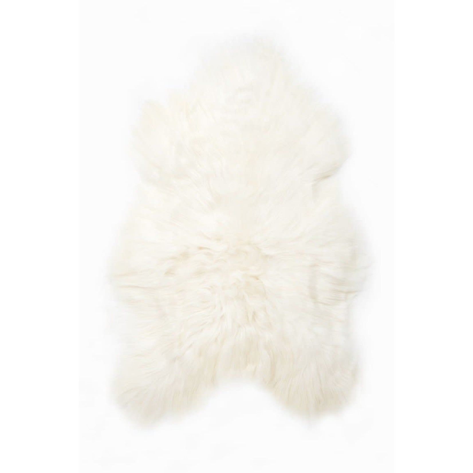 White Icelandic Sheepskin, Medium