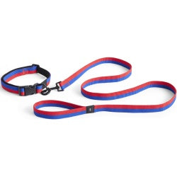 Dog Collar Flat, Red/Blue, M/L