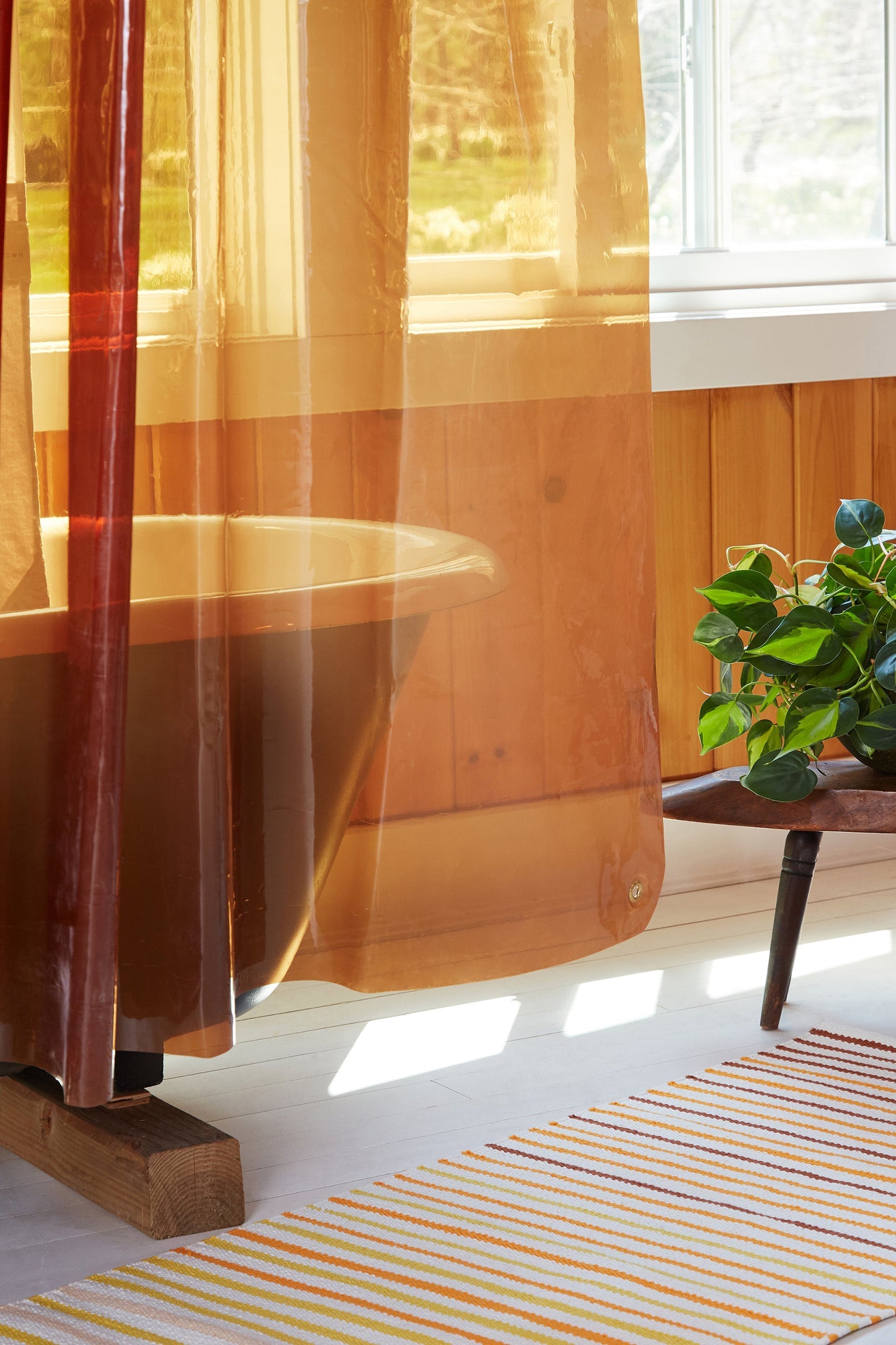 Sun Shower, Honey