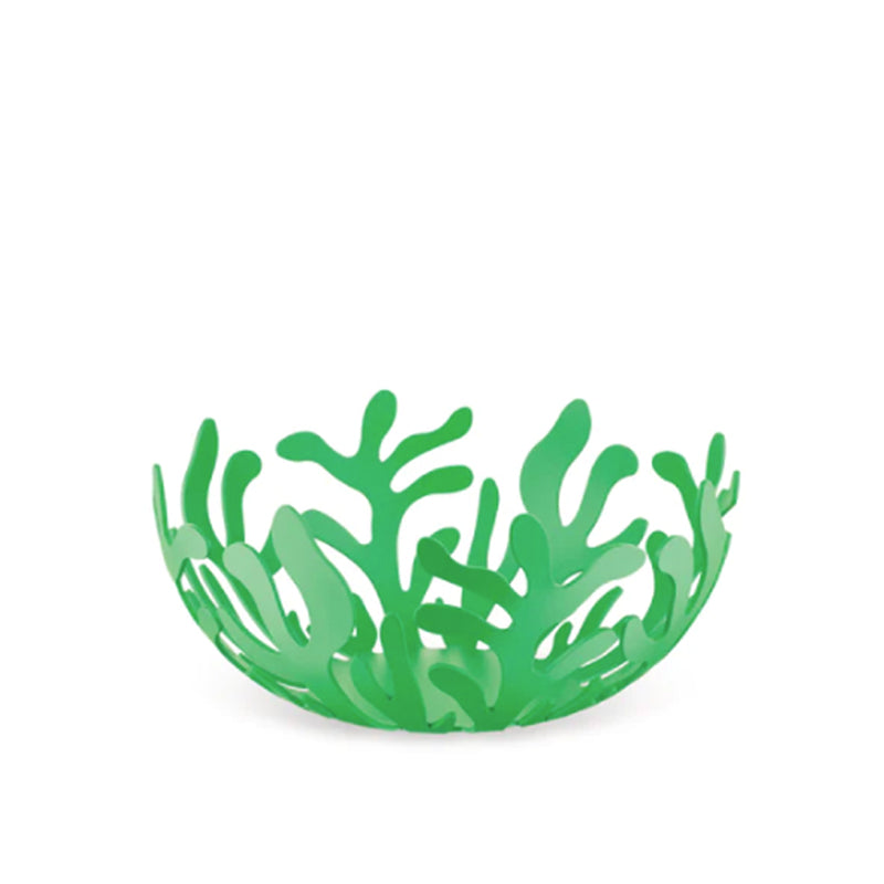 Mediterraneo Fruit Holder, Green, Small