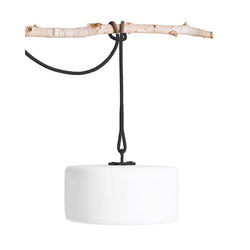 Thierry le Swinger Ambient Lighting