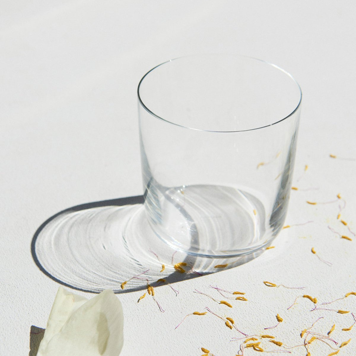 Alessi Water Glass Family, Long, Set of 4