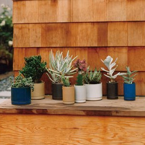 Hasami Planter, Tall, Gloss Grey *Does not come with Dish/Plate