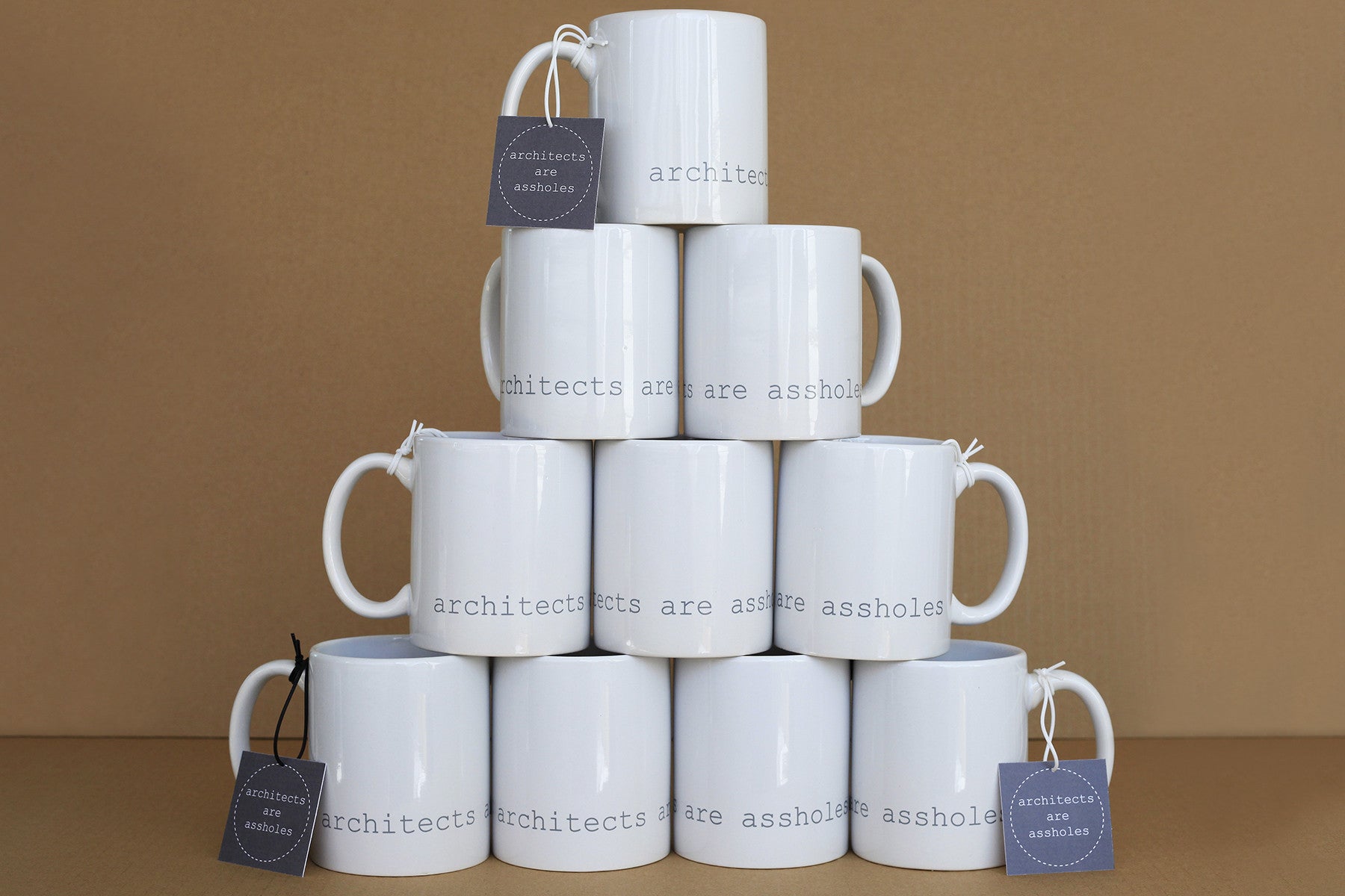 Architects Are Assholes Mug