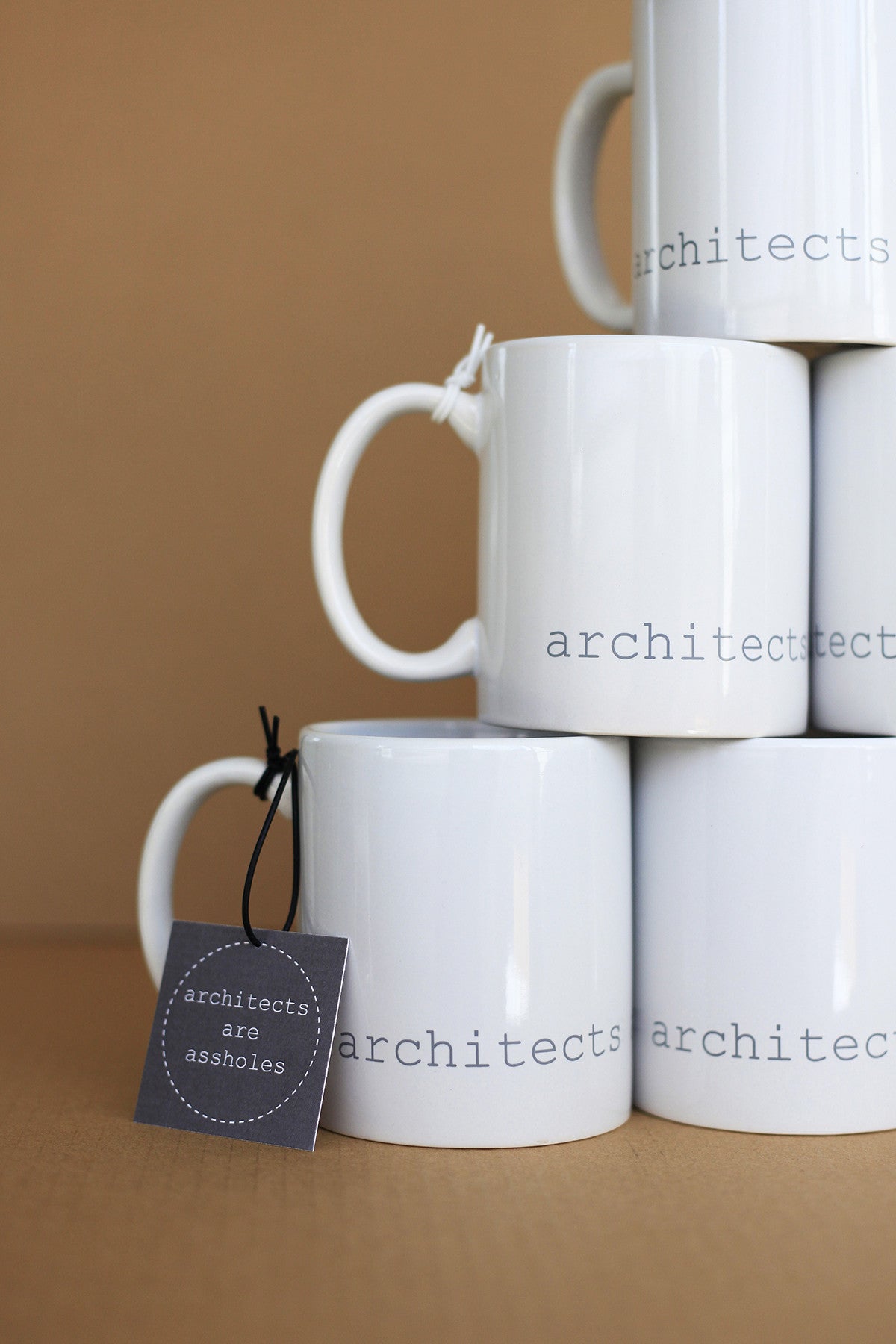 Architects Are Assholes Mug