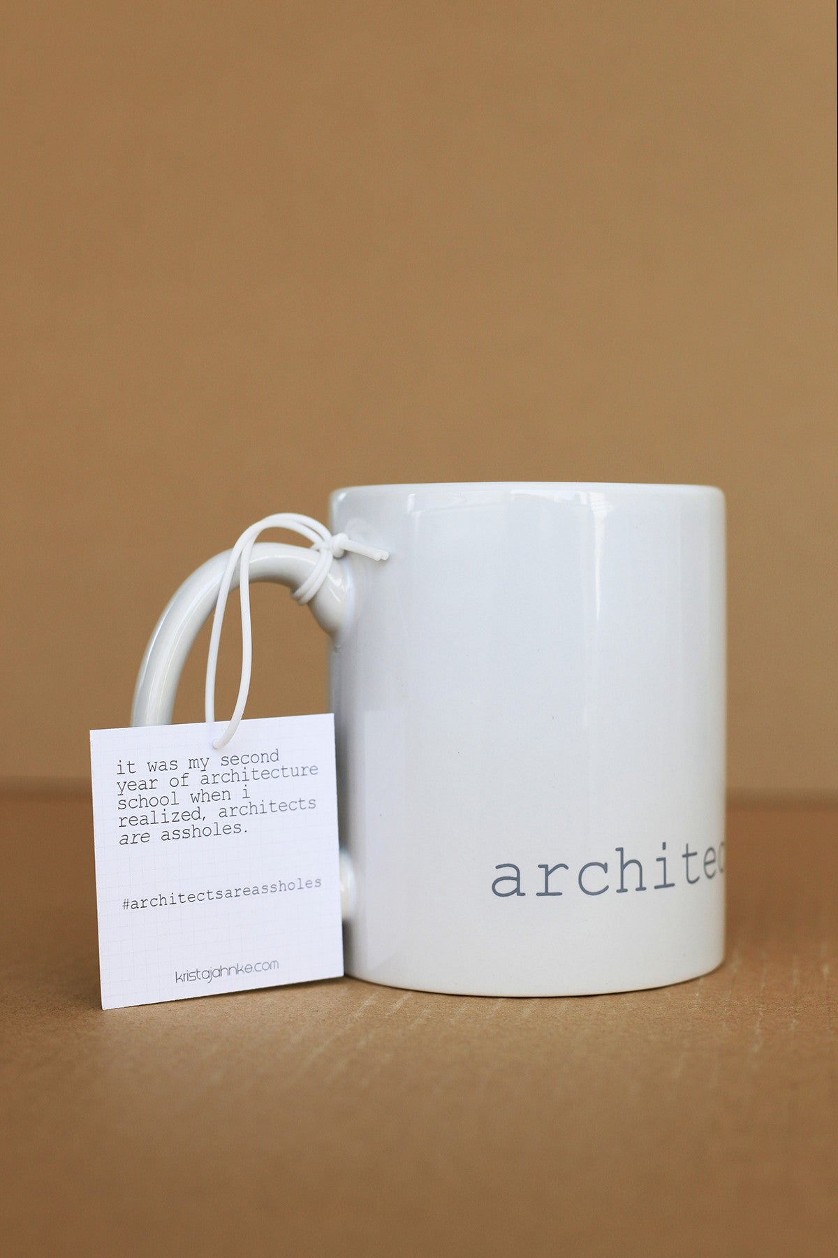 Architects Are Assholes Mug