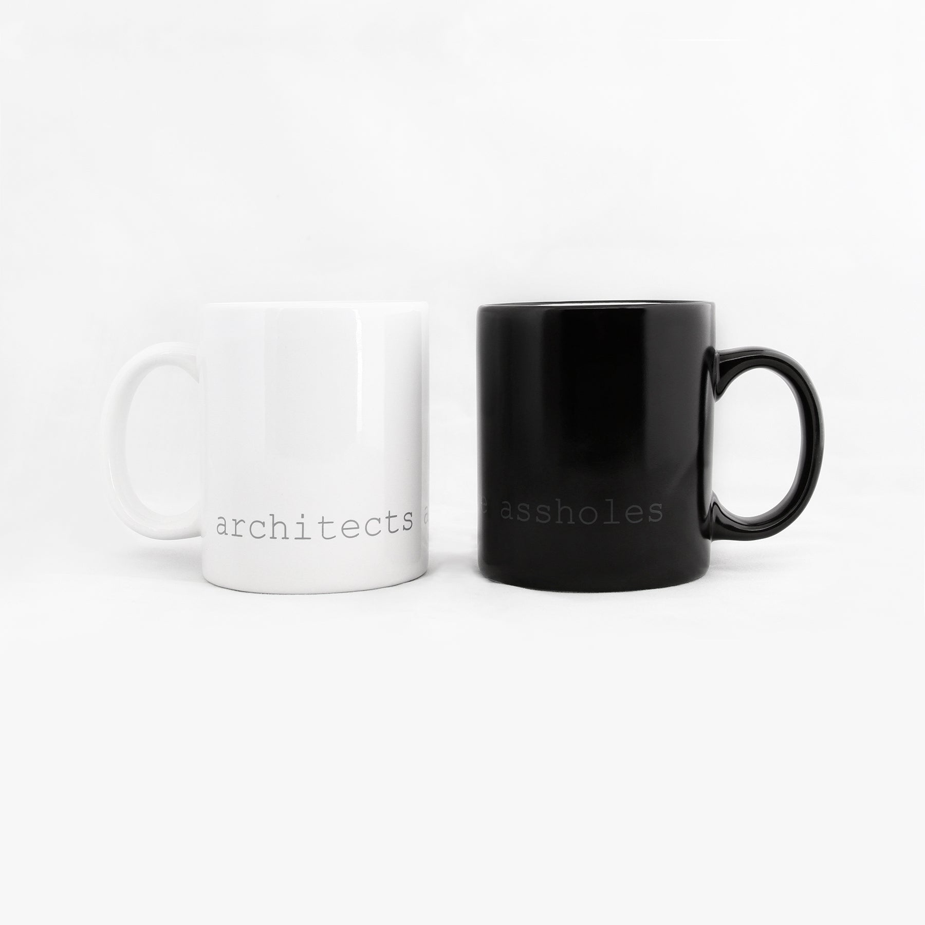 Architects Are Assholes Mug