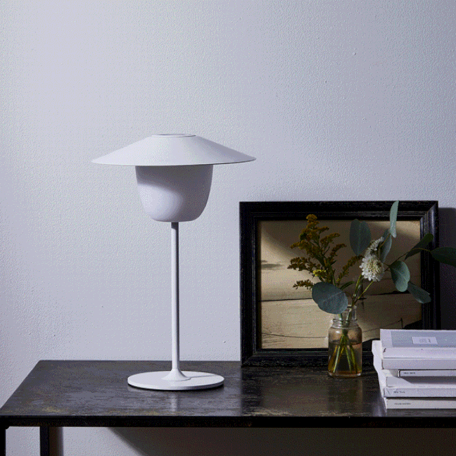 ANI Lamp, Magnet