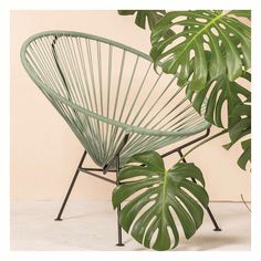 Condesa Chair, Sea Foam Cord/White Frame