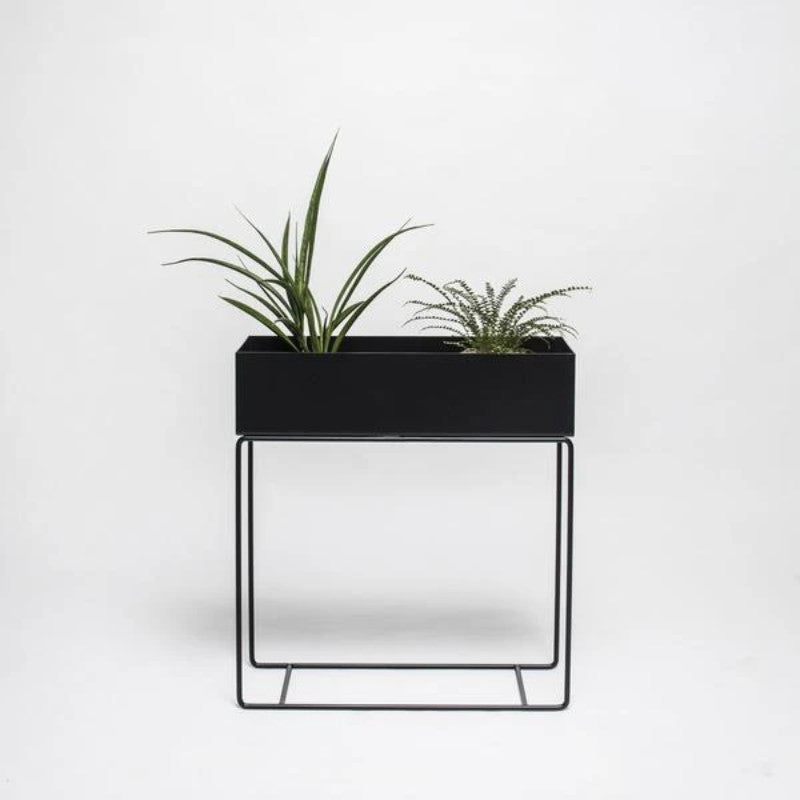 Plant Box, Rectangle, Black
