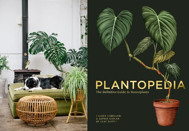 Plantopedia