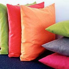 Swing Cushion