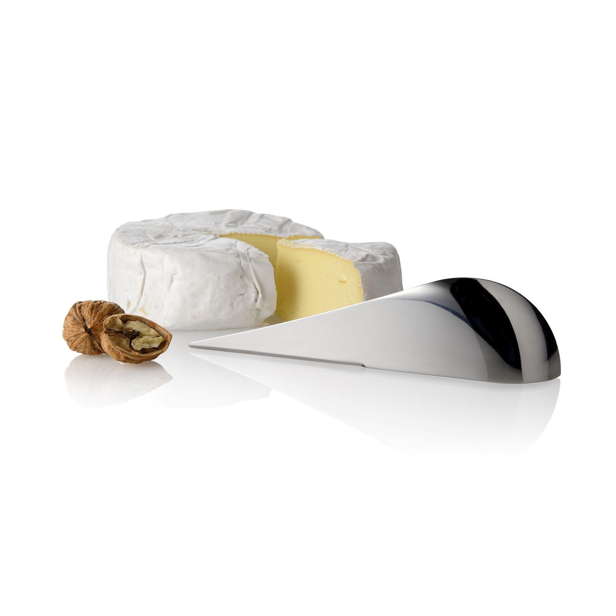 Antechinus Cheese Knife